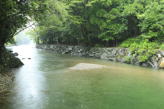 伊勢神宮 五十鈴川 の写真素材 イラスト素材 アマナイメージズ