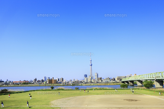 東京スカイツリーと荒川河川敷 の写真素材 イラスト素材 アマナイメージズ