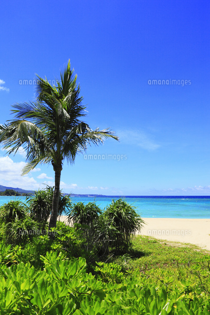 沖縄本島 ブセナビーチの海 の写真素材 イラスト素材 アマナイメージズ