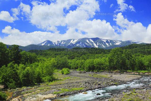 新緑の大雪山と石狩川 の写真素材 イラスト素材 アマナイメージズ