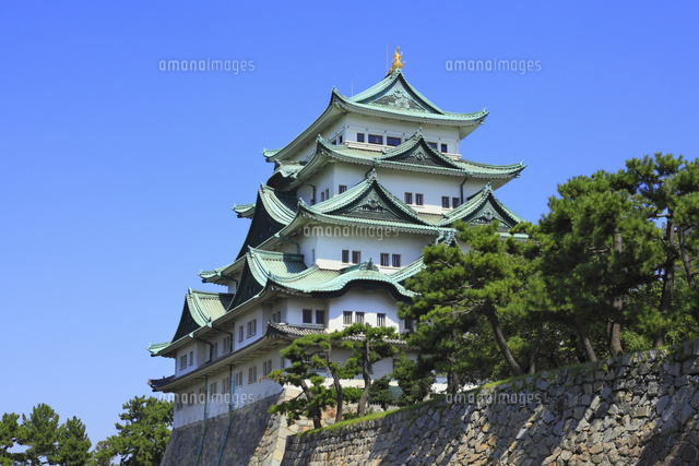 名古屋城の天守閣 の写真素材 イラスト素材 アマナイメージズ