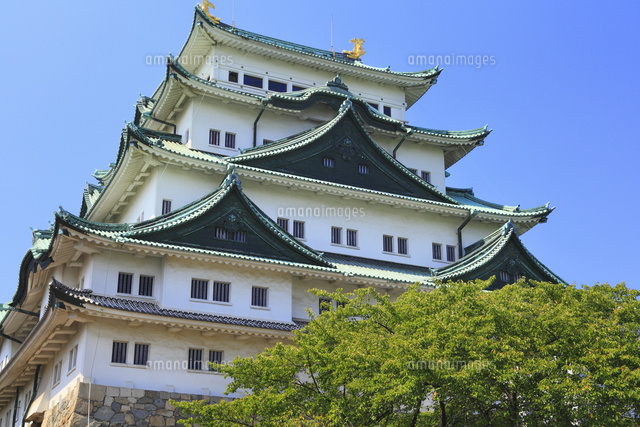 名古屋城の天守閣 の写真素材 イラスト素材 アマナイメージズ