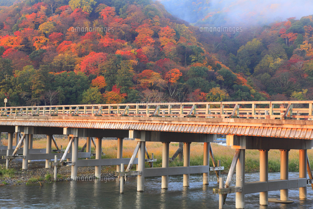 渡月橋と嵐山の紅葉 11076022386 の写真素材 イラスト素材 アマナイメージズ