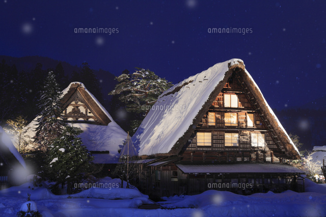 冬の白川郷 ライトアップ夜景と降雪 の写真素材 イラスト素材 アマナイメージズ
