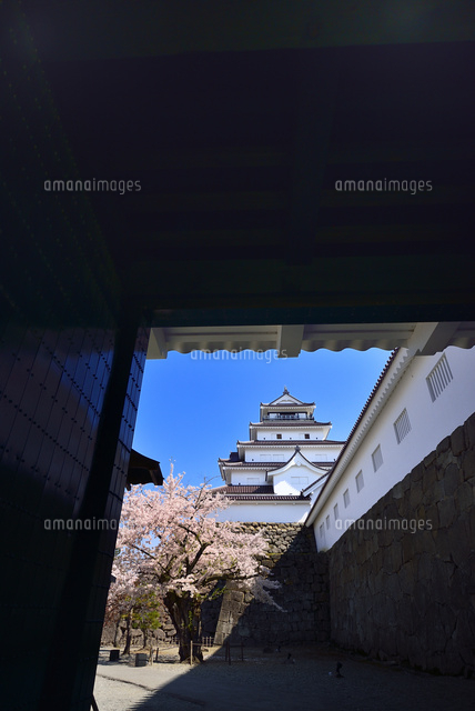 鶴ヶ城 会津若松城 鉄門と天守閣に桜 の写真素材 イラスト素材 アマナイメージズ