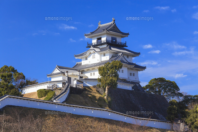 掛川城 の写真素材 イラスト素材 アマナイメージズ