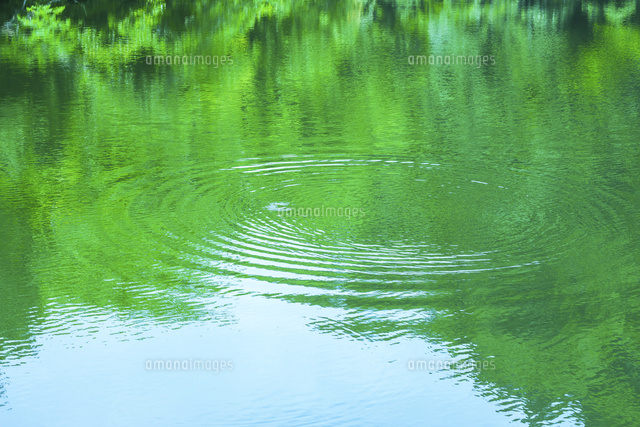 緑の映る水面と波紋 の写真素材 イラスト素材 アマナイメージズ