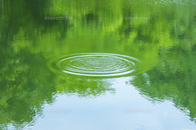 緑の映る水面と波紋 の写真素材 イラスト素材 アマナイメージズ