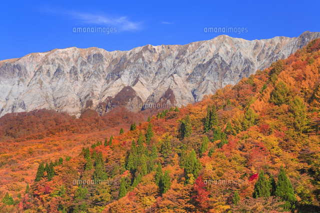 紅葉の鍵掛峠から望む大山 の写真素材 イラスト素材 アマナイメージズ 紅葉の鍵掛峠から望む大山 の写真素材 イラスト素材 アマナイメージズ