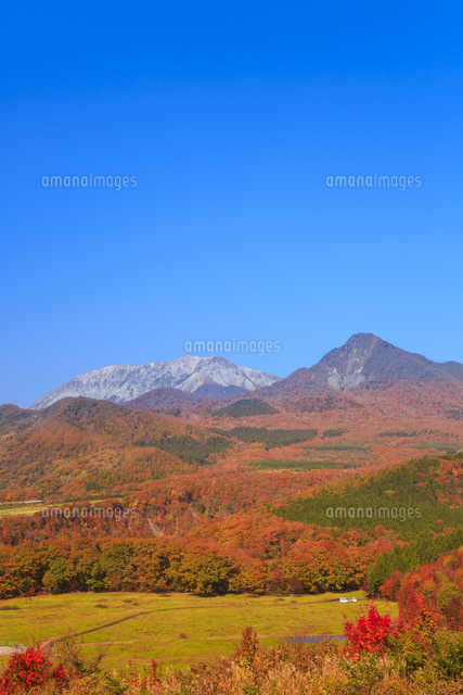 紅葉の鬼女台から望む烏ヶ山と大山 の写真素材 イラスト素材 アマナイメージズ