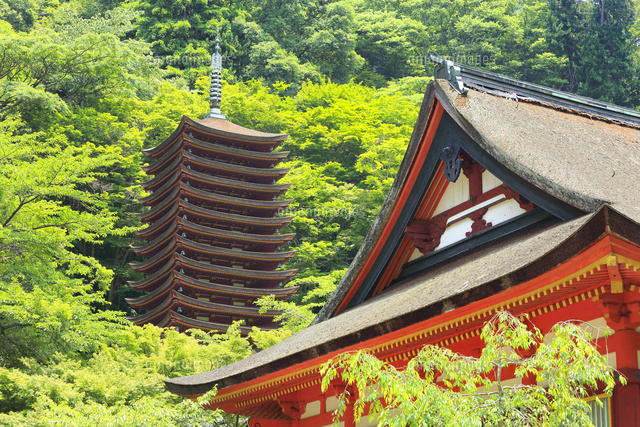 多武峰 談山神社 の写真素材 イラスト素材 アマナイメージズ