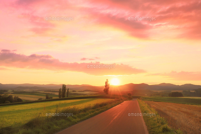 夕焼け 野原の写真素材 ストックフォト アマナイメージズ