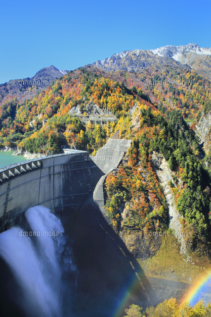 紅葉の黒部ダムと放水に立山 の写真素材 イラスト素材 アマナイメージズ
