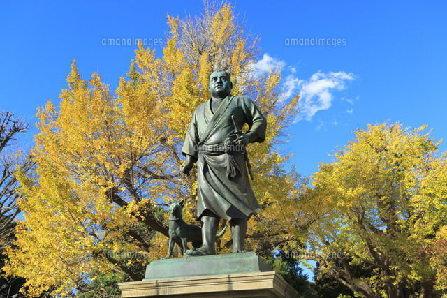 上野公園の西郷隆盛像とイチョウの紅葉 の写真素材 イラスト素材 アマナイメージズ