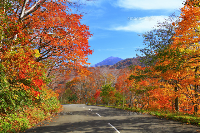 松川渓谷の紅葉と道に岩手山 の写真素材 イラスト素材 アマナイメージズ
