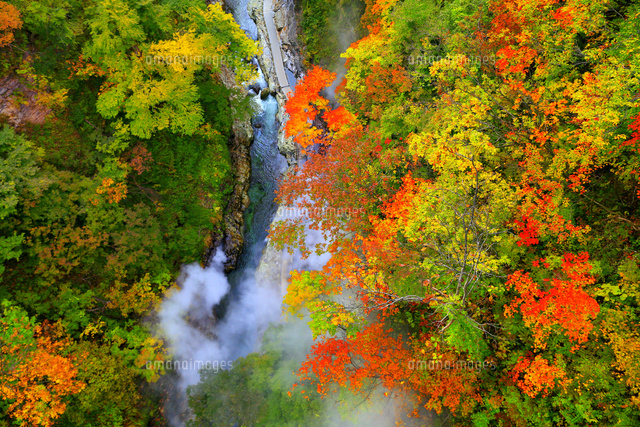 小安峡の紅葉 の写真素材 イラスト素材 アマナイメージズ