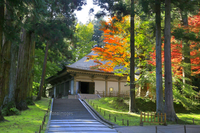 中尊寺金色堂の写真素材 ストックフォト アマナイメージズ