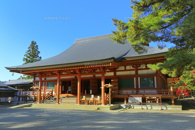 毛越寺本堂 の写真素材 イラスト素材 アマナイメージズ