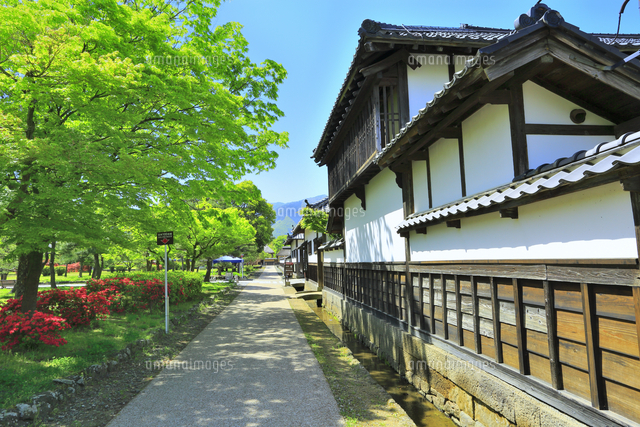 新緑の真田公園と真田邸 の写真素材 イラスト素材 アマナイメージズ 新緑の真田公園と真田邸 の写真素材 イラスト素材 アマナイメージズ