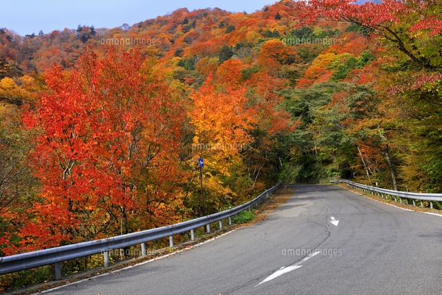 日光いろは坂の紅葉 の写真素材 イラスト素材 アマナイメージズ