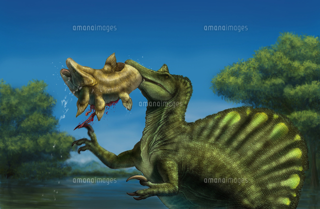 A Spinosaurus Dinosaur Fishing Mawsonias In A Mangrove の写真素材 イラスト素材 アマナイメージズ