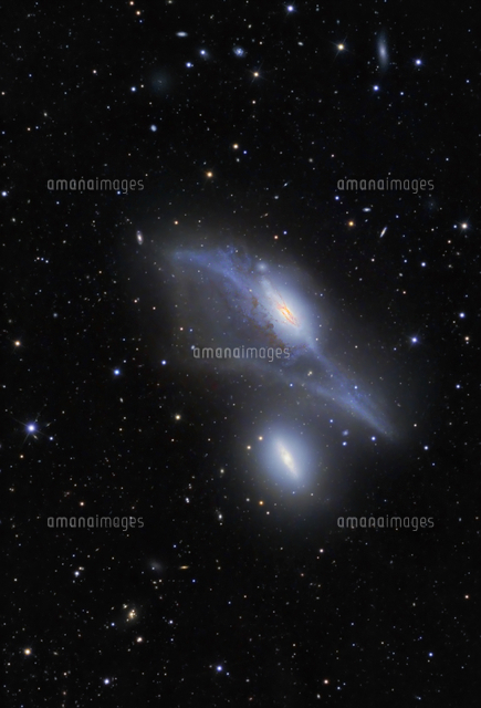 ＜Galaxy＞「銀河」 NGC4244_2022_M.png