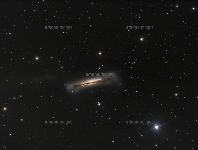 Ngc 3628 The Hamburger Galaxy の写真素材 イラスト素材 アマナイメージズ