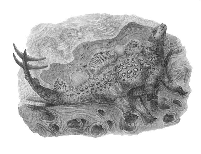Pencil drawing of Hesperosaurus mjosi.[11079023252]の写真素材・イラスト素材｜アマナイメージズ