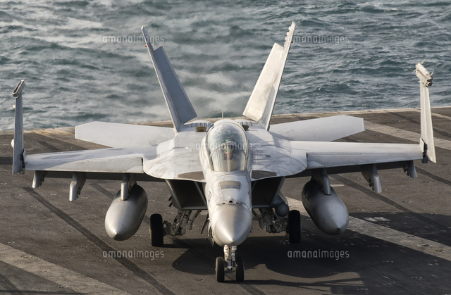スーパーホーネット Amazon | ハセガワ 1/72 F/A-18E スーパーホーネット VFA-31