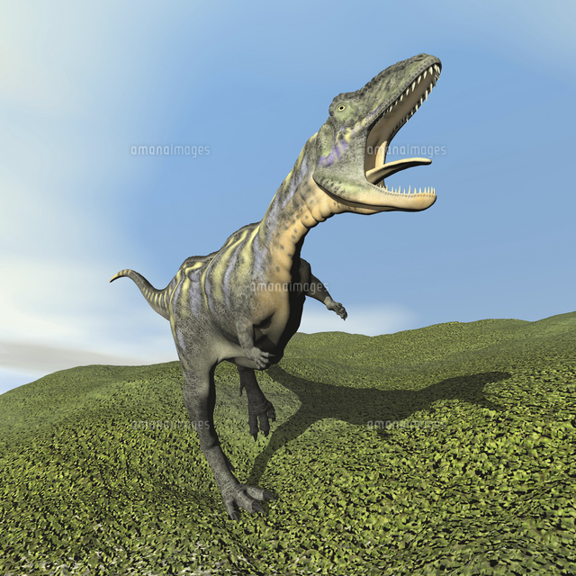 Aucasaurus Dinosaur Bellows A Loud Roar の写真素材 イラスト素材 アマナイメージズ
