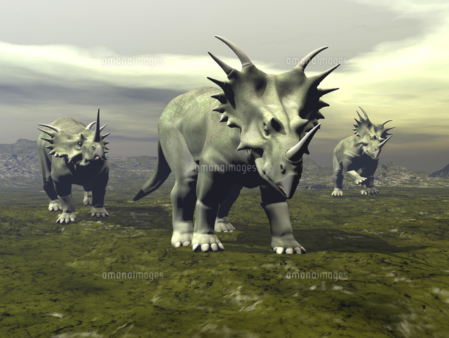 Three Styracosaurus Dinosaurs の写真素材 イラスト素材 アマナイメージズ
