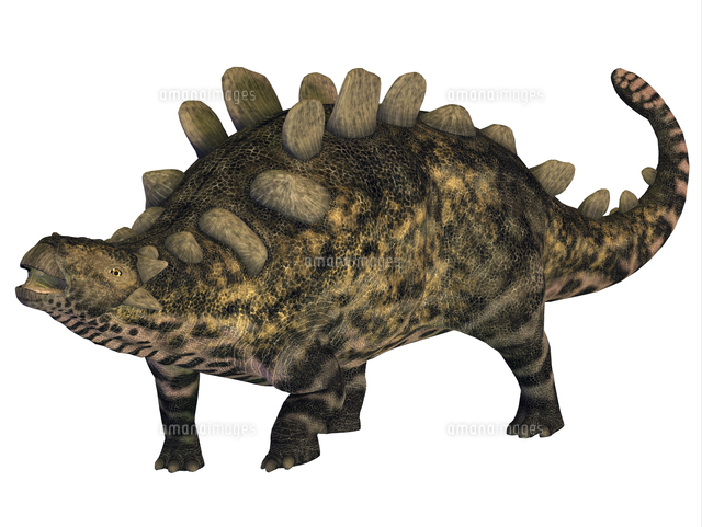 Crichtonsaurus Armored Dinosaur の写真素材 イラスト素材 アマナイメージズ