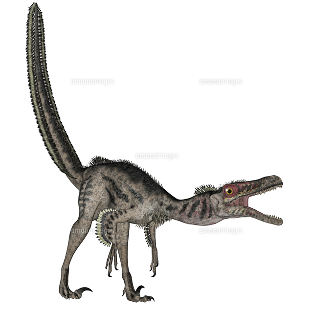 Hunting Velociraptor 狩りをするヴェロキラプトル 英語版 Amazon.co.jp: Hunting Velociraptor 狩りをする