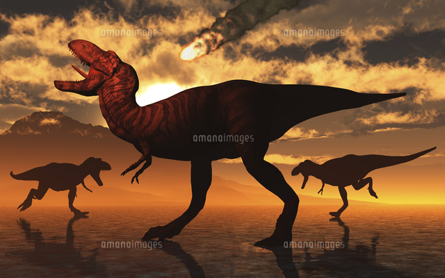 A Pack Of T Rex Dinosaurs Witness A Falling Asteroid の写真素材 イラスト 素材 アマナイメージズ