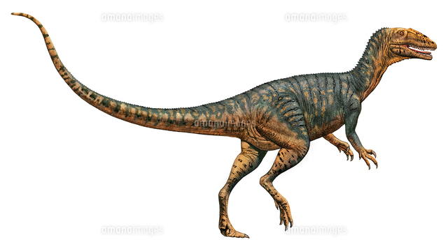 Gojirasaurus Dinosaur の写真素材 イラスト素材 アマナイメージズ