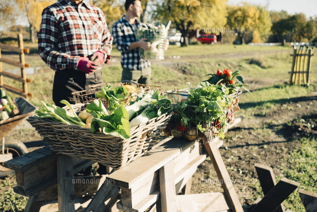 Male and female farmers selling fresh organic vegetables at market ...