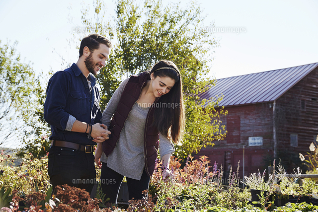 A young man and woman looking at plants on a display at a garden centre ...