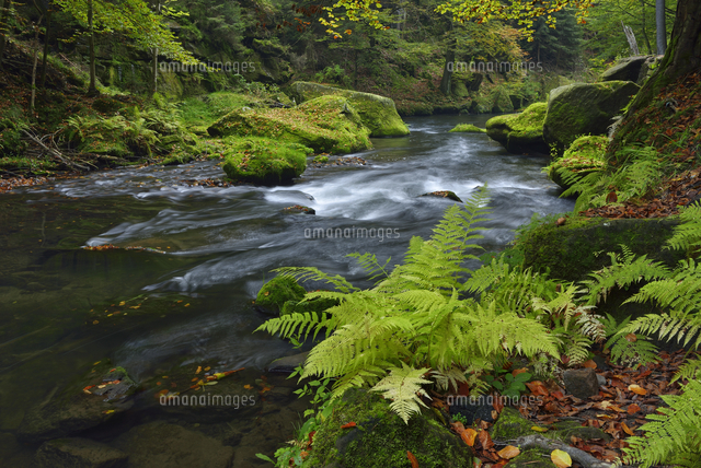 Czech Republic, Bohemian Switzerland, Ticha Souteska near Hr ...