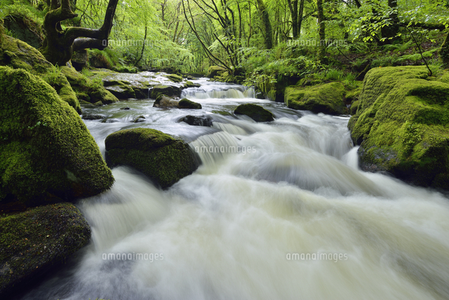 United Kingdom, England, Cornwall, Liskeard, River Fowey, Go ...