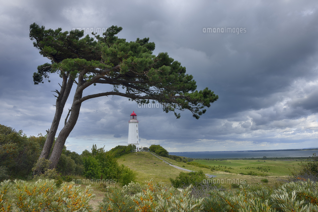 Germany, Mecklenburg-Western Pomerania, Hiddensee Island, Do ...
