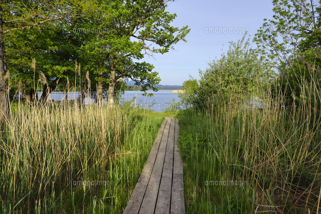 Boardwalk at lake Staffelsee, Upper Bavaria, Germany[11094061153]の写真素材 ...