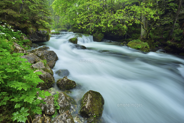 Schwarbach river, Tennengau,, Hallein, Austria[11094061159]の写真素材・イラスト素材 ...