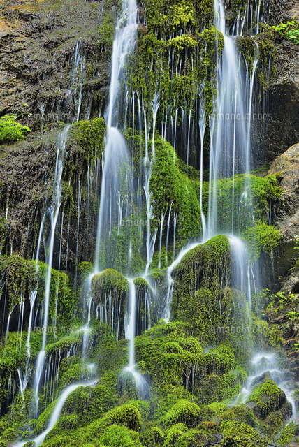 Water cascades down the cliffs of the famous Wimbachklamm, B ...