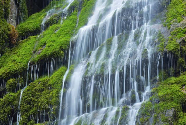 Water cascades down the cliffs of the famous Wimbachklamm, B ...