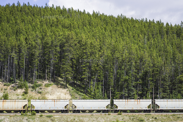 Train against trees at forest[11100056624]の写真素材・イラスト素材｜アマナイメージズ