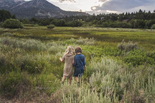 Rear view of sisters walking on grassy field against sky in forest ...