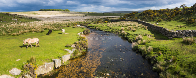 Dartmoor Landscape Devon England United Kingdom Europe の写真素材 イラスト素材 アマナイメージズ