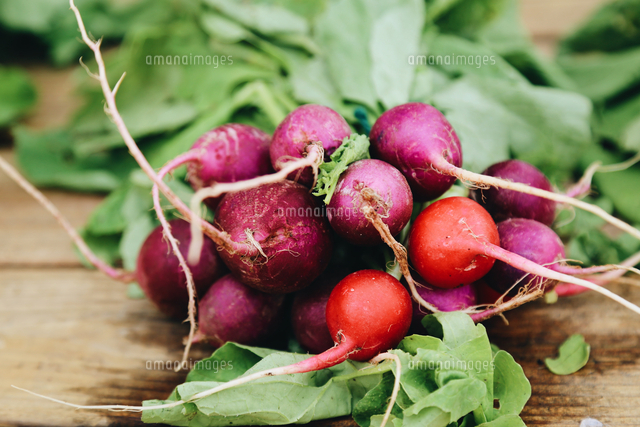 Close Up Of Red Radishes On Table の写真素材 イラスト素材 アマナイメージズ