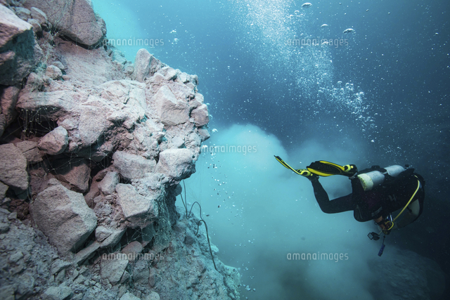 Marine Benthos の写真素材 イラスト素材 アマナイメージズ