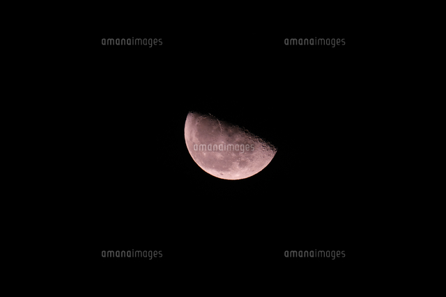 Purple Moon Taipei Taiwan の写真素材 イラスト素材 アマナイメージズ
